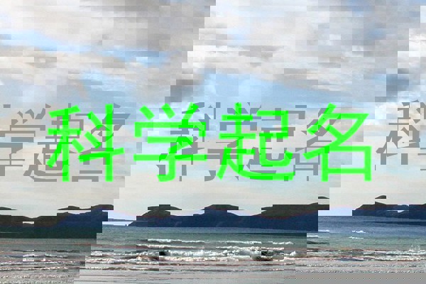 科学起名