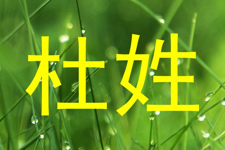 杜姓