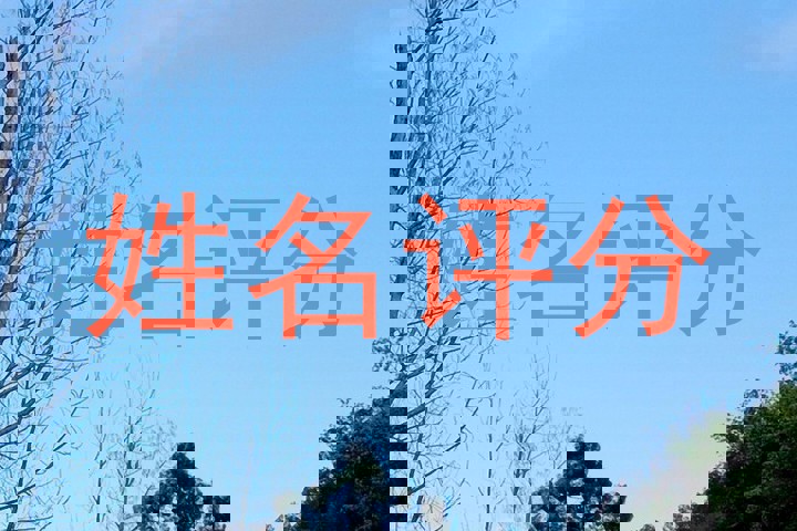 姓名评分