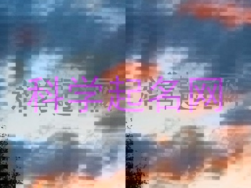 科学起名网