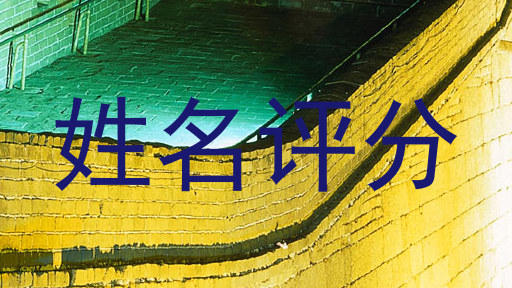 储欣夷