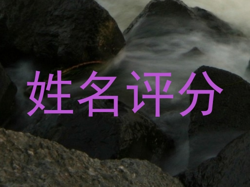 姓名评分
