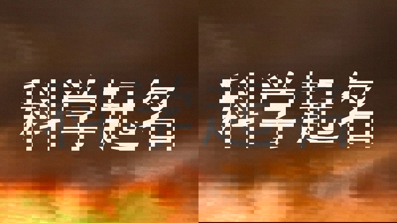 科学起名