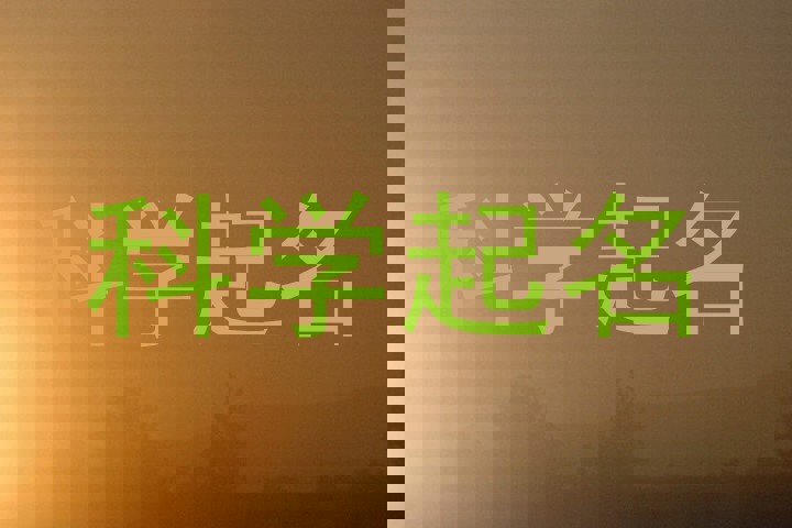 科学起名软件