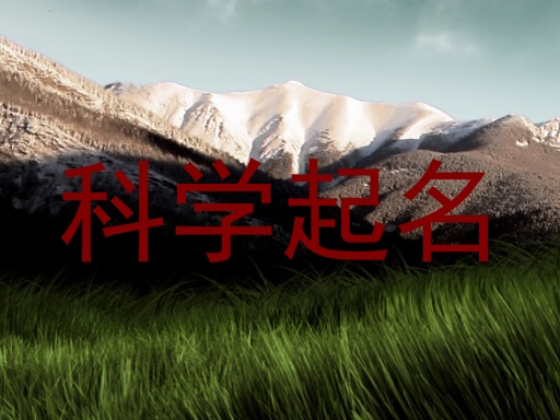 科学起名