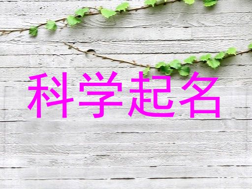 科学起名