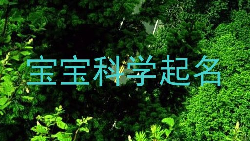 宝宝科学起名