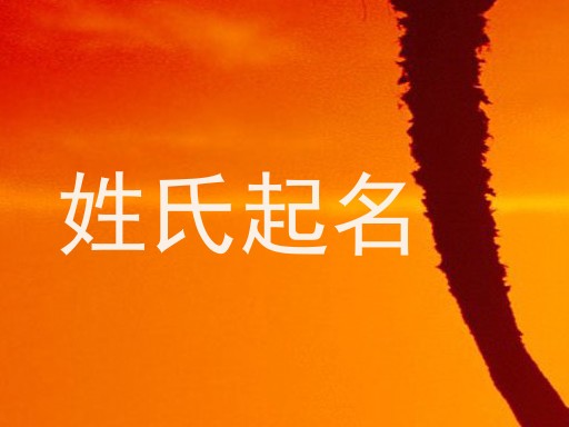 姓氏起名
