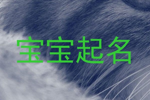 宝宝起名