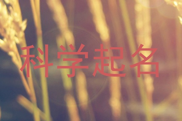 科学起名