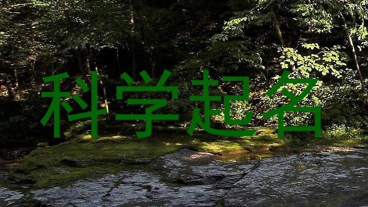 科学起名
