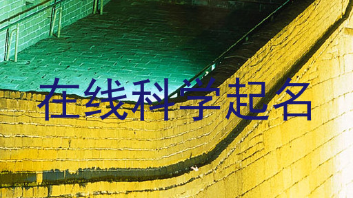 在线科学起名