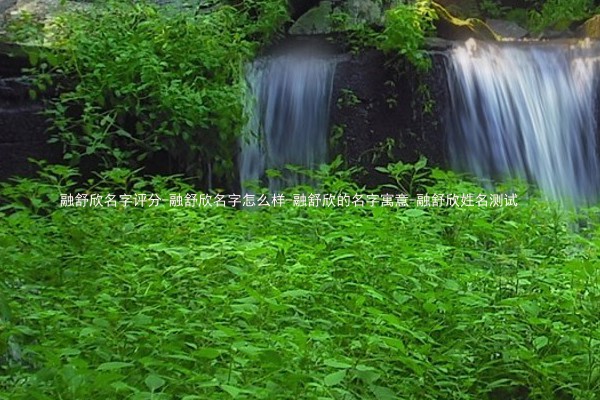 融舒欣名字评分-融舒欣名字怎么样-融舒欣的名字寓意-融舒欣姓名测试