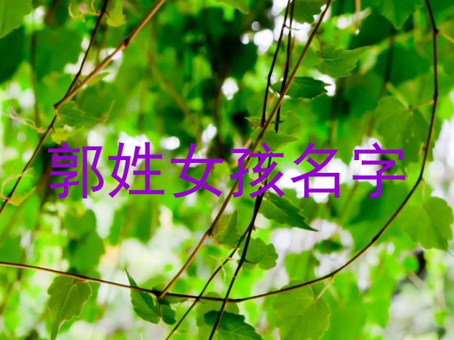 郭姓女孩名字