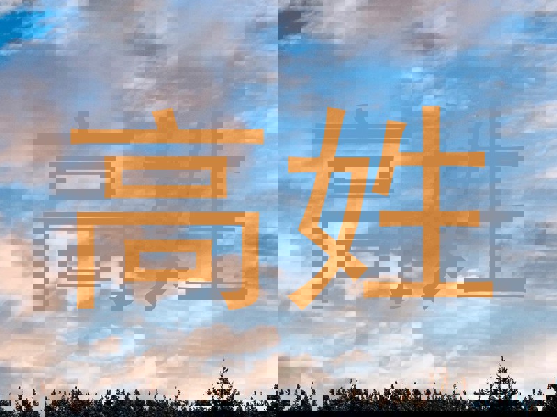 高姓