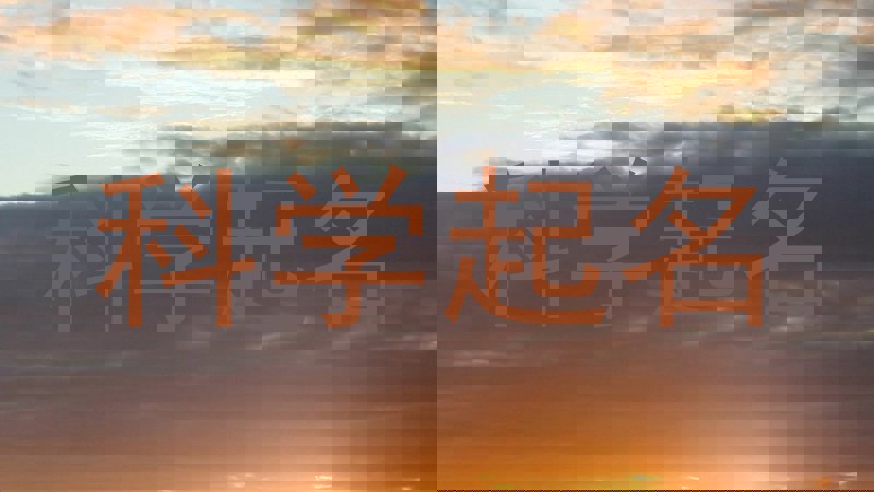 科学起名