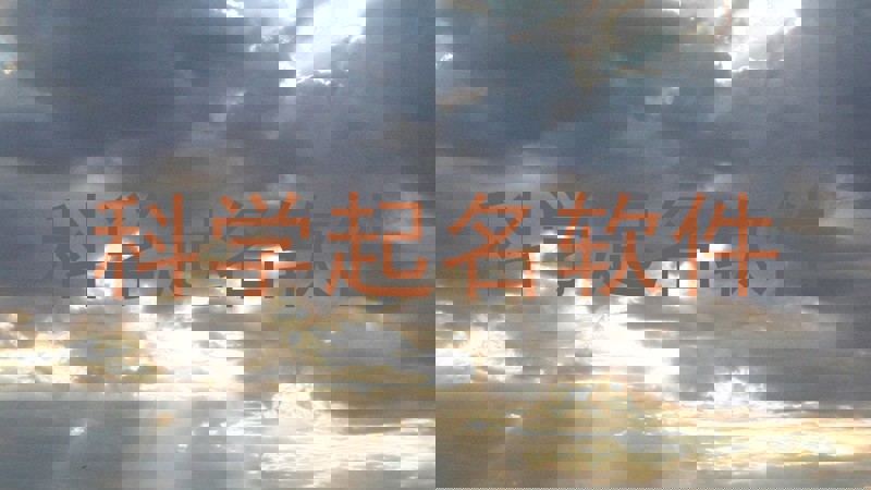 科学起名软件