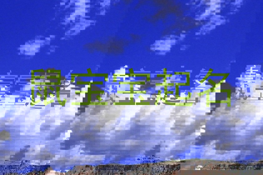 鼠宝宝起名