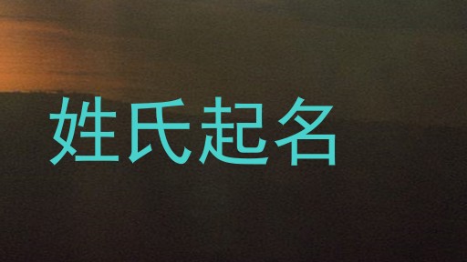 姓氏起名