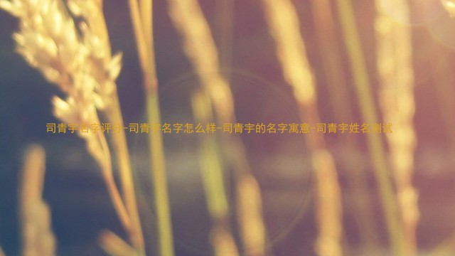 司青宇名字评分-司青宇名字怎么样-司青宇的名字寓意-司青宇姓名测试