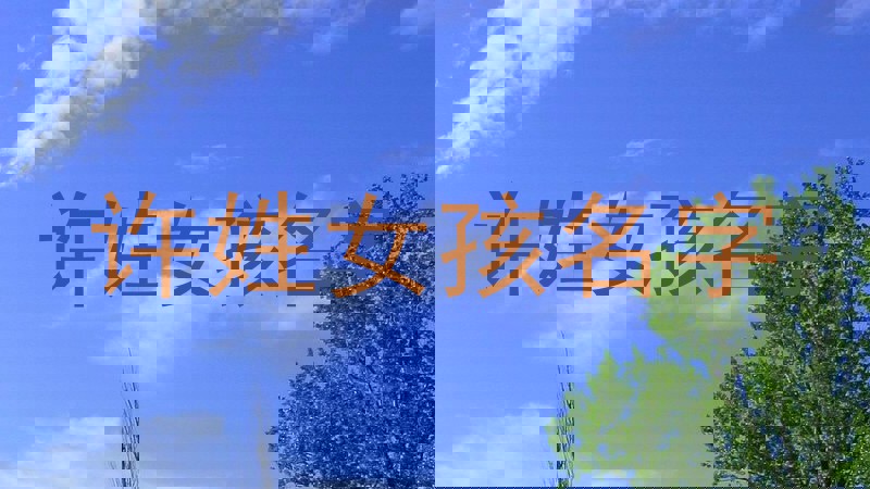 许姓女孩名字