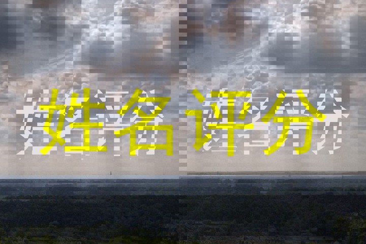 招鑫蕾