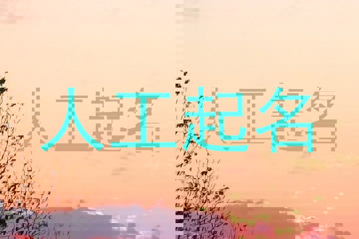 人工起名