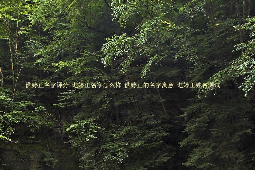 谯婷正