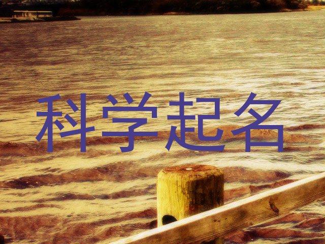 科学起名