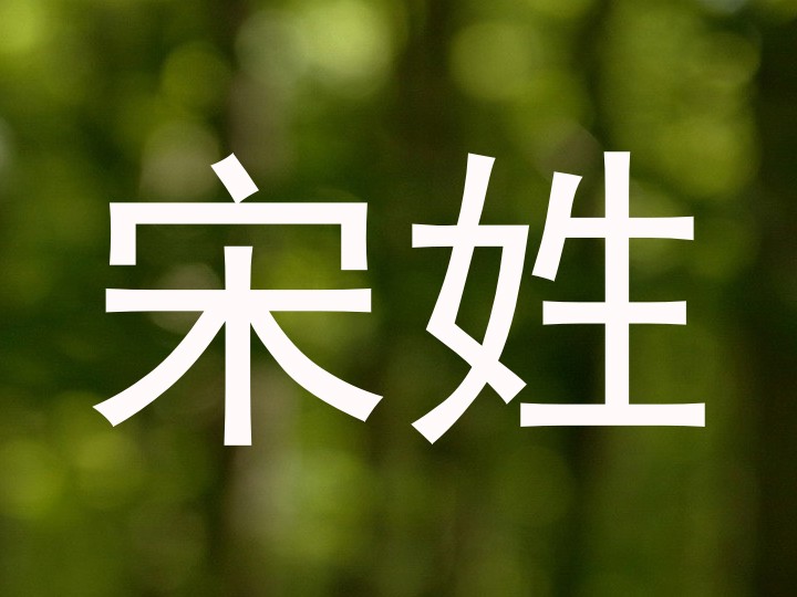 宋姓