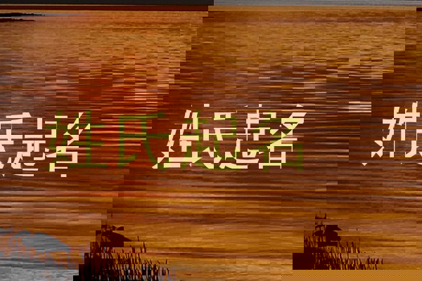 胡姓女孩名字