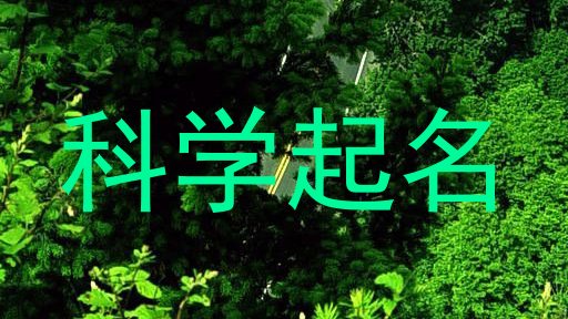 科学起名