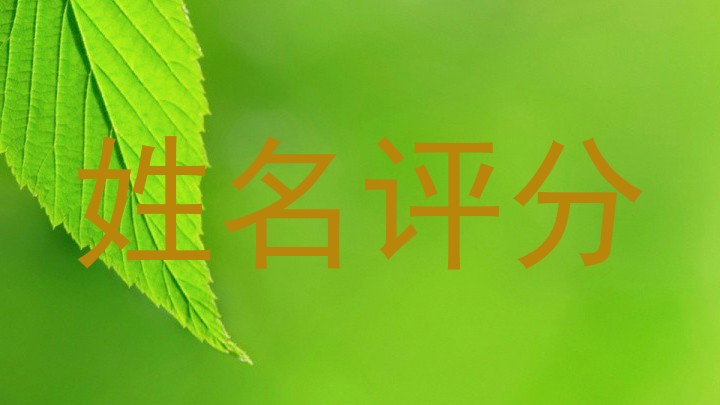 空花弦
