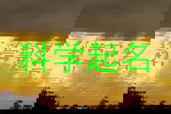 科学起名