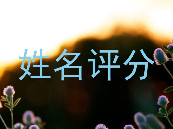 狄铭元