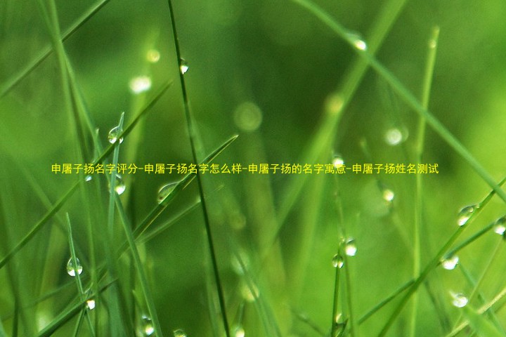 申屠子扬名字评分-申屠子扬名字怎么样-申屠子扬的名字寓意-申屠子扬姓名测试
