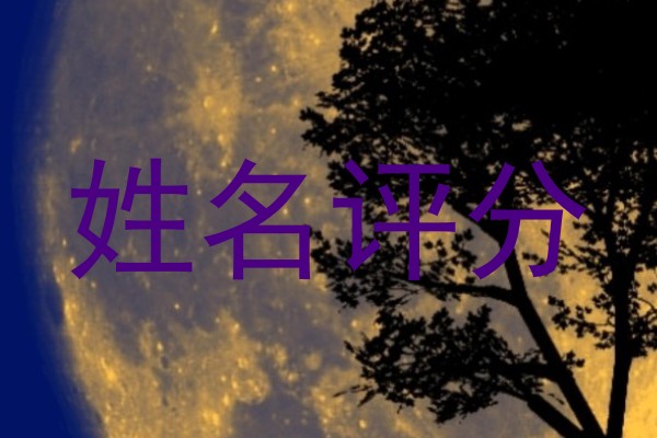姓名评分