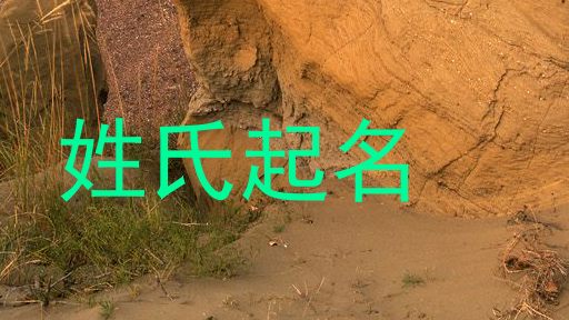 胡姓女孩名字