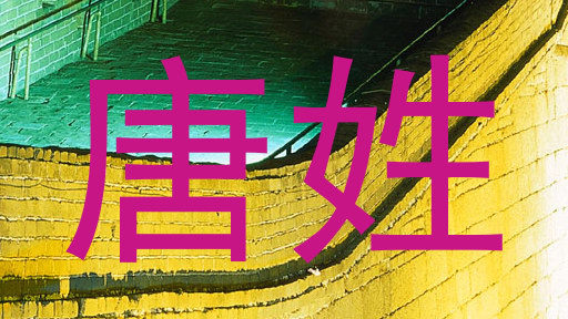 唐姓