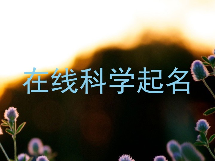 在线科学起名