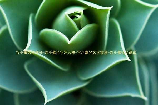 谷小蕾名字评分-谷小蕾名字怎么样-谷小蕾的名字寓意-谷小蕾姓名测试