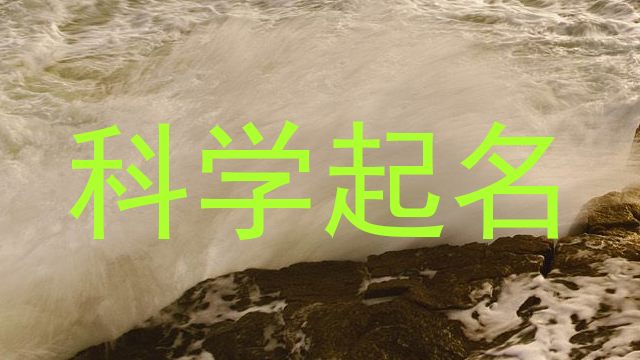 科学起名