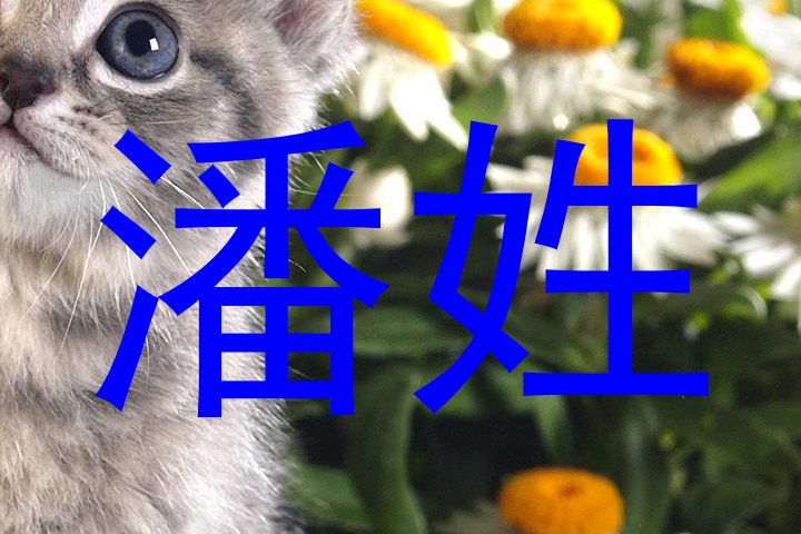 潘姓