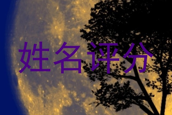 姓名评分