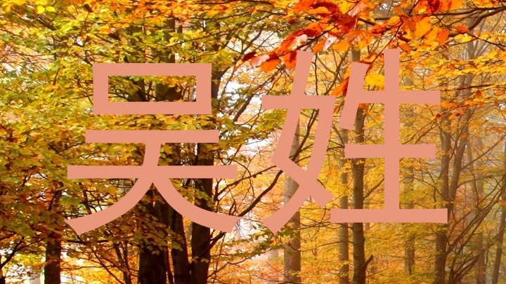 吴姓