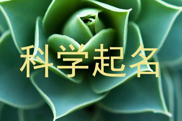 科学起名