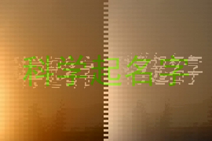 科学起名字