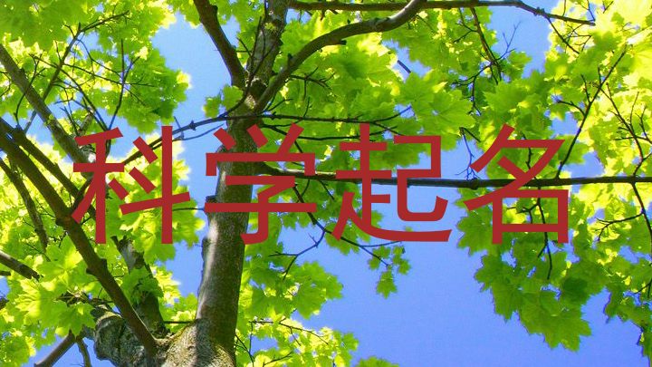 科学起名