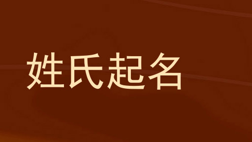胡姓