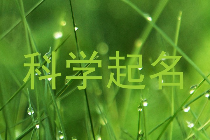 科学起名
